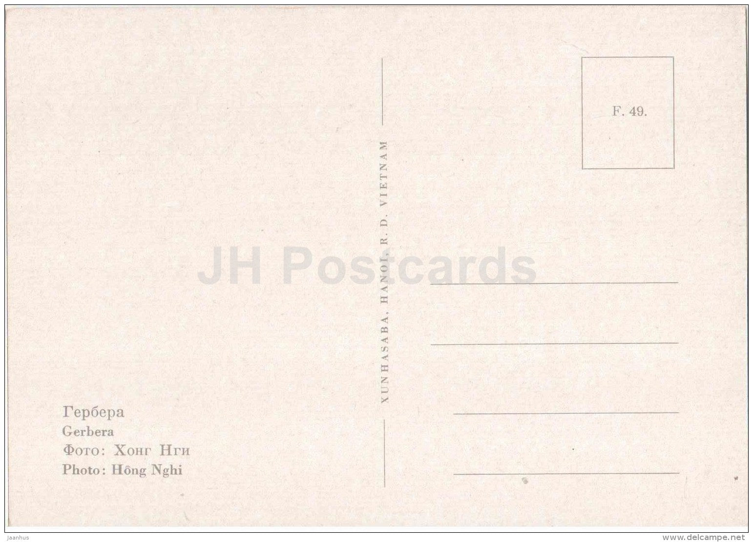 Gerbera - flowers - Vietnam - unused - JH Postcards