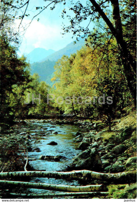 Pirineos de Lerida - El Pallars - Valle de Cardos - Paisaje de Plans de Boavi - 5119 - Spain - unused - JH Postcards