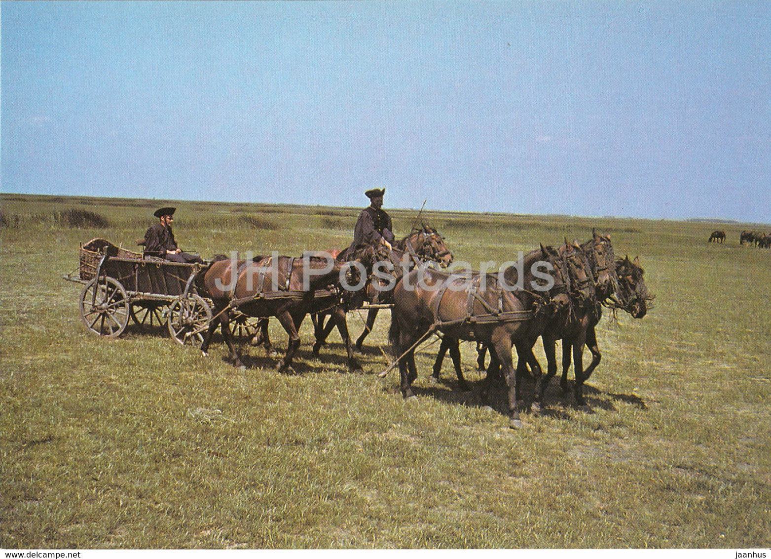 Hortobagy - Seven in Hand - horse carriage - Hungary - unused - JH Postcards