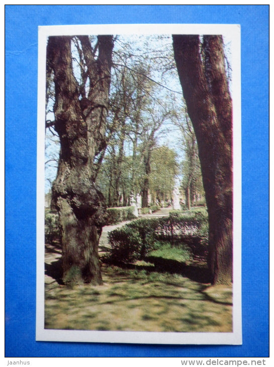 Old Trees - The Summer Gardens - Leningrad - St. Petersburg - 1971 - Russia USSR - unused - JH Postcards