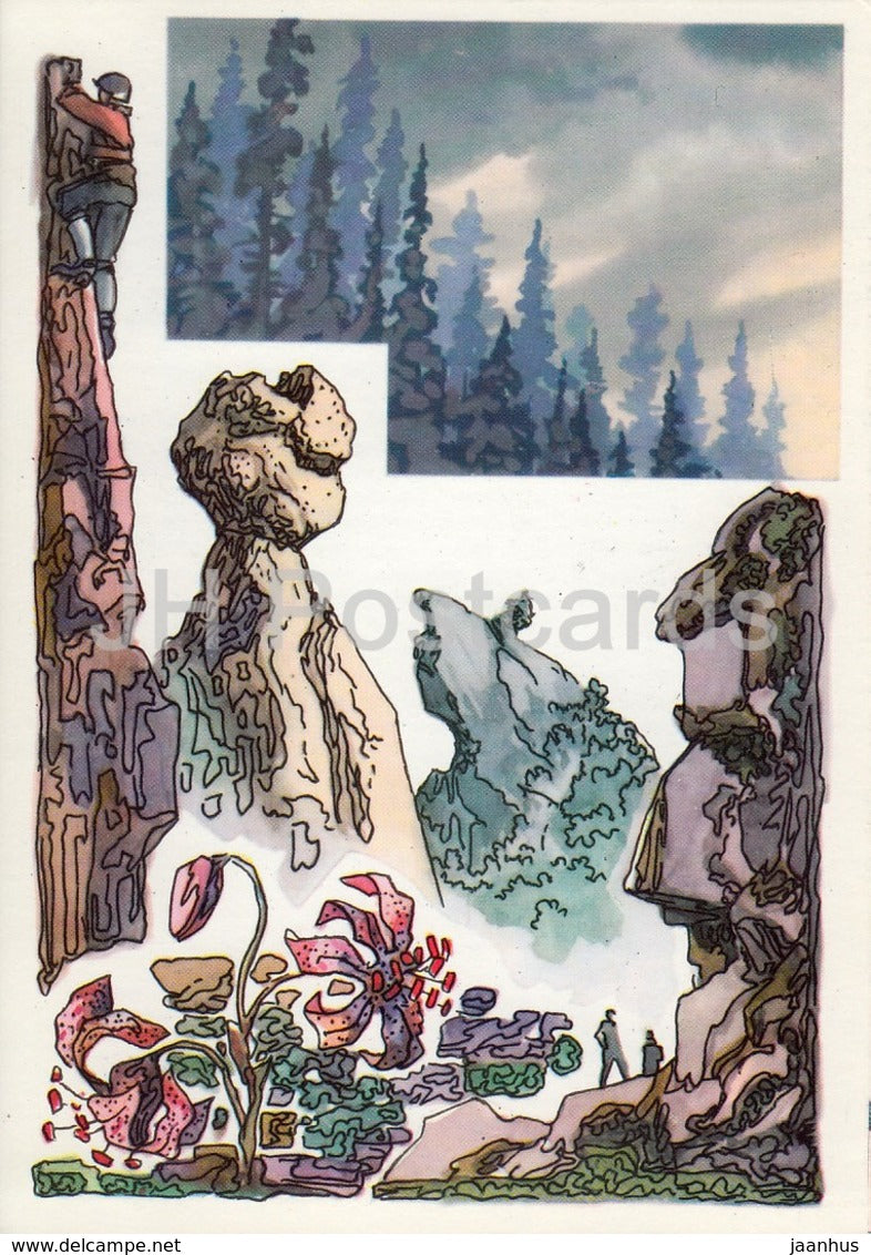 rocks - lily - Stolby Nature Reserve - 1975 - Russia USSR - unused - JH Postcards