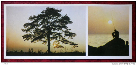 Latvian views - evening - tree - fishing - 1980 - Latvia USSR - unused - JH Postcards