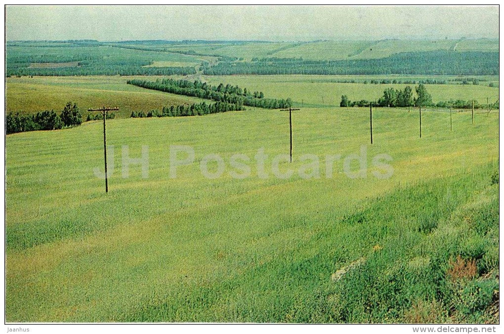 Ilyichevo field - Shushenskoye - 1983 - Russia USSR - unused - JH Postcards