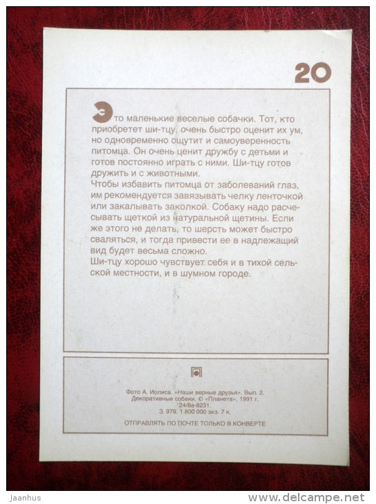 Shih Tzu - dogs - 1991 - Russia - USSR - unused - JH Postcards