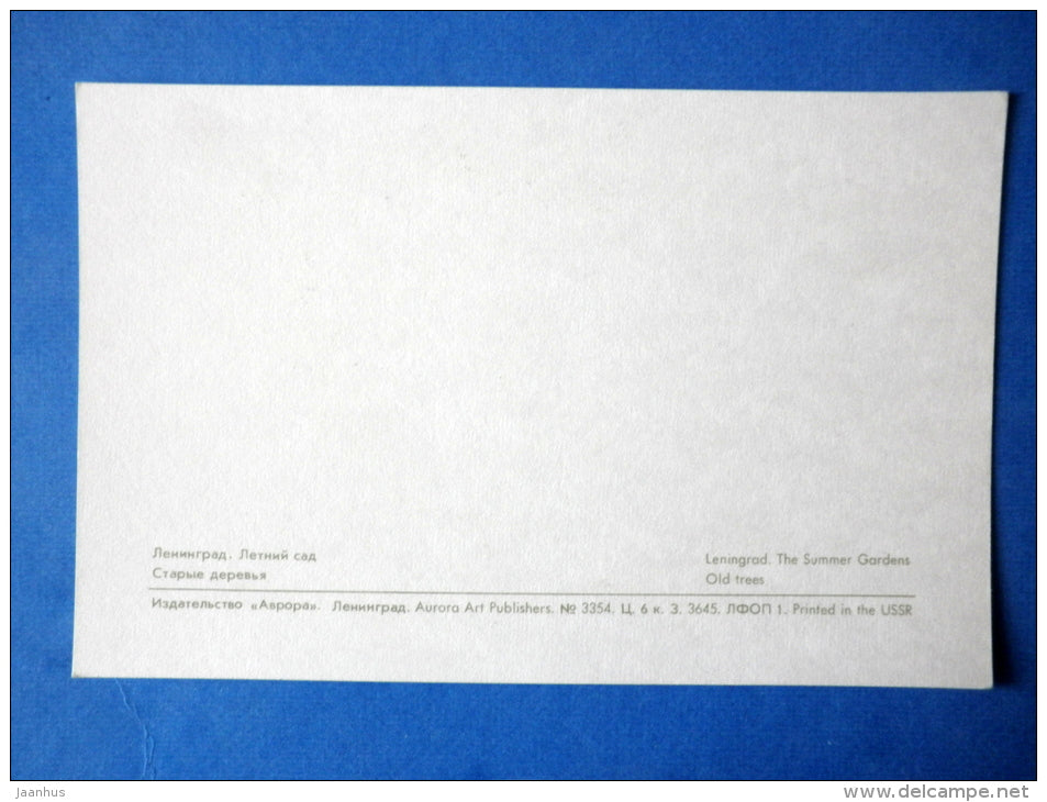 Old Trees - The Summer Gardens - Leningrad - St. Petersburg - 1971 - Russia USSR - unused - JH Postcards