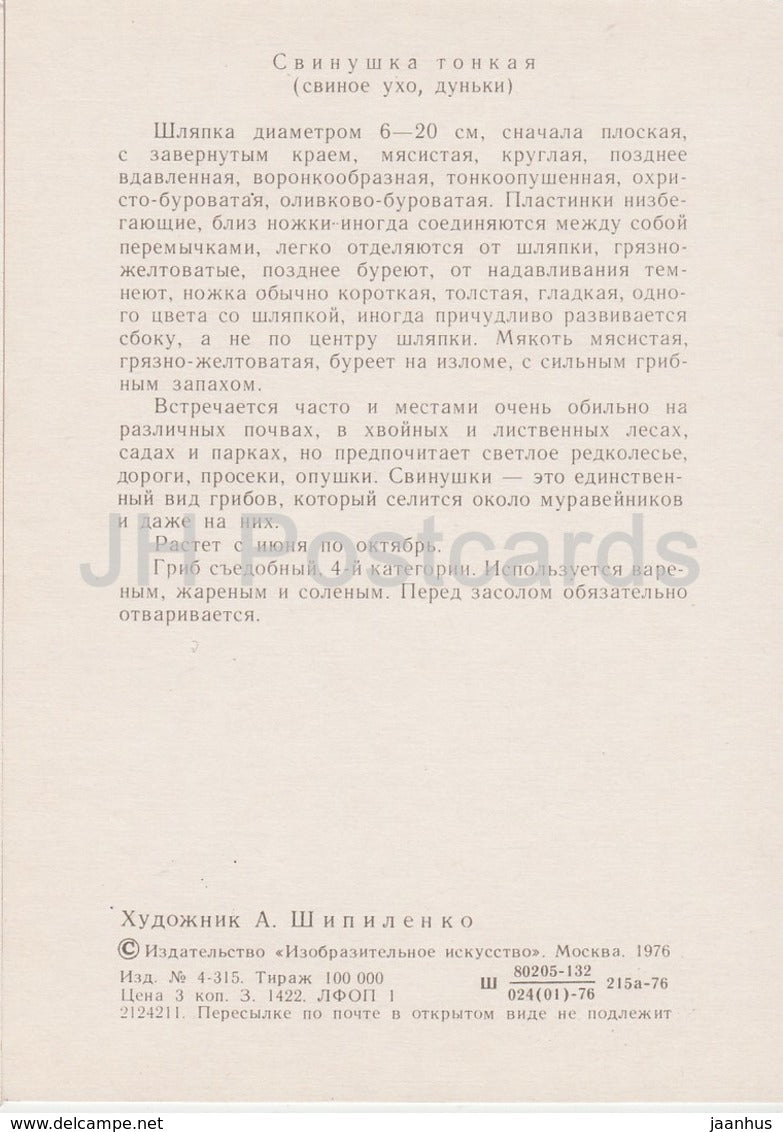 Brown roll-rim Mushroom - Paxillus involutus - illustration by A. Shipilenko - Mushrooms - 1976 - Russia USSR - unused - JH Postcards