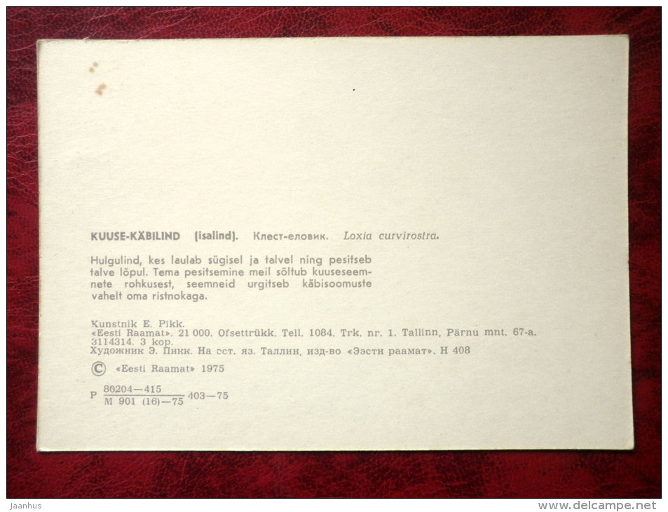 Red Crossbill - Loxia curvirostra - birds - 1975 - Estonia - USSR - unused - JH Postcards