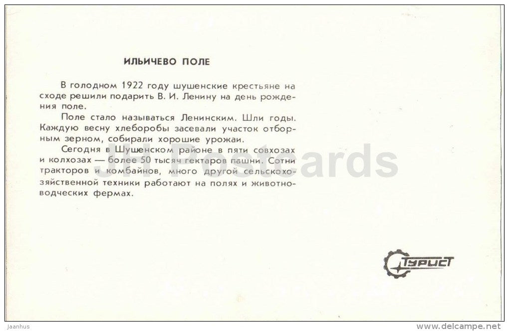 Ilyichevo field - Shushenskoye - 1983 - Russia USSR - unused - JH Postcards