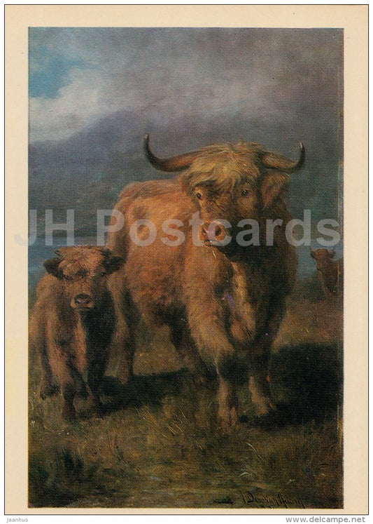 painting  by Joseph Denovan Adams - on Scottish pastures - Cattle - Scottish art - 1973 - Russia USSR - unused - JH Postcards