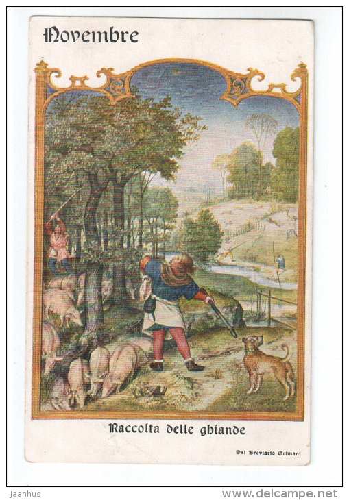 Novembre - Raccolta delle Ghiande - breviario Grimani - Gathering Acorns - old postcard - circulated in Estonia - used - JH Postcards