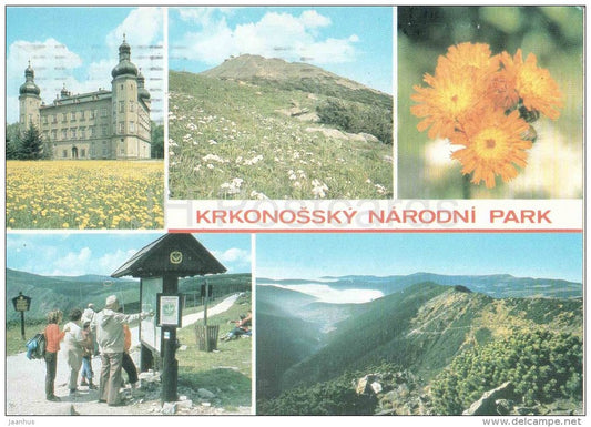 Krkonose National Park - Castle in Vrchlabi - Snezka mountain - orange hawkweed - Czechoslovakia - Czech - used - JH Postcards