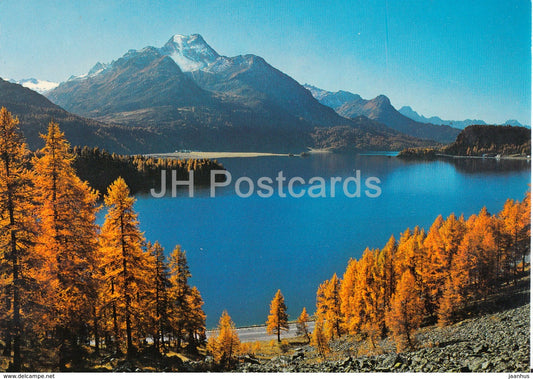 Herbsttag am Silsersee - 102 - Switzerland - unused - JH Postcards