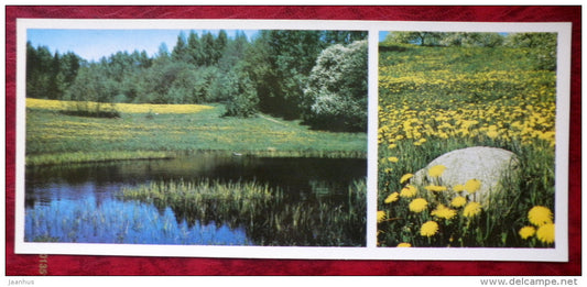 Latvian views - DANDELIONS - 1980 - Latvia USSR - unused - JH Postcards