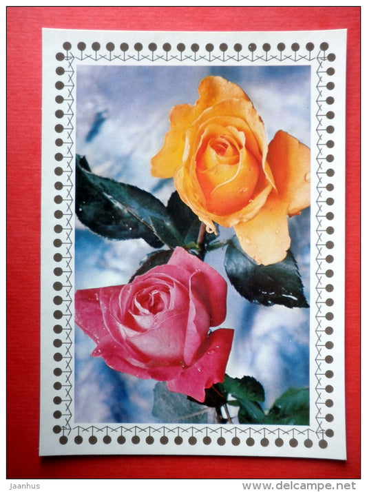 orange and red roses - flowers - Czechoslovakia - unused - JH Postcards