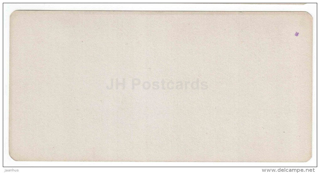 Beshtau Grand Hotel and Kursaal - Kislovodsk - Caucasus - Russia - Russie - stereo photo - stereoscopique - old photo - JH Postcards