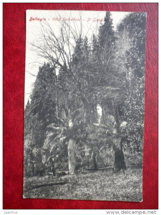 Giardino Villa Serbelloni - Bellagio - garden - palm tree - old postcard - Italy - unused - JH Postcards