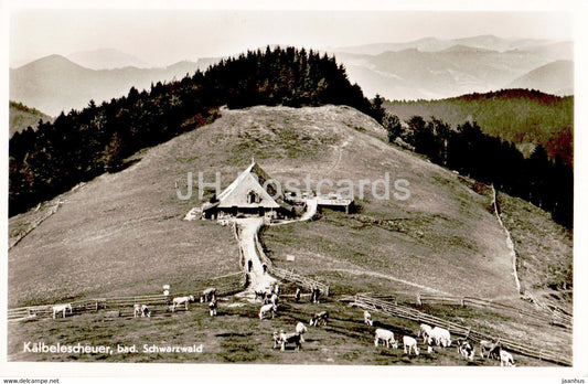 Kalbelescheuer - bad Schwarzwald - old postcard - 1955 - Germany - used - JH Postcards