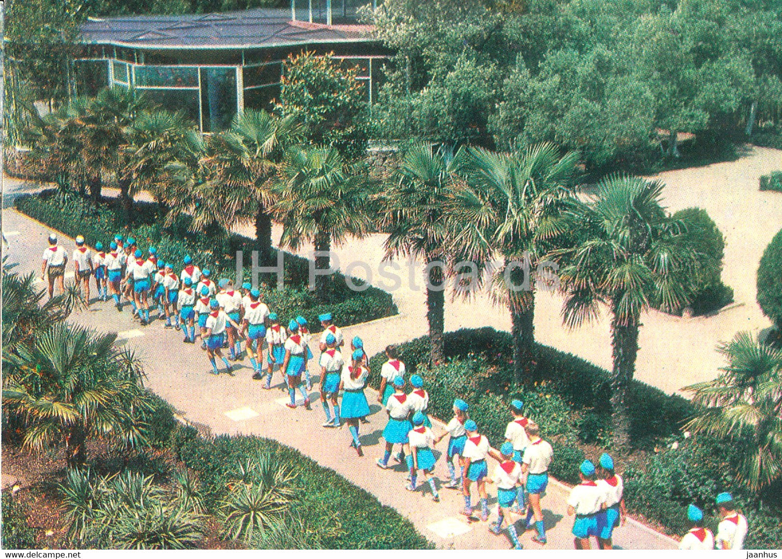 Pioneer Camp Artek - camp Morskoy - Palm alley - Crimea - 1971 - Ukraine USSR - unused - JH Postcards