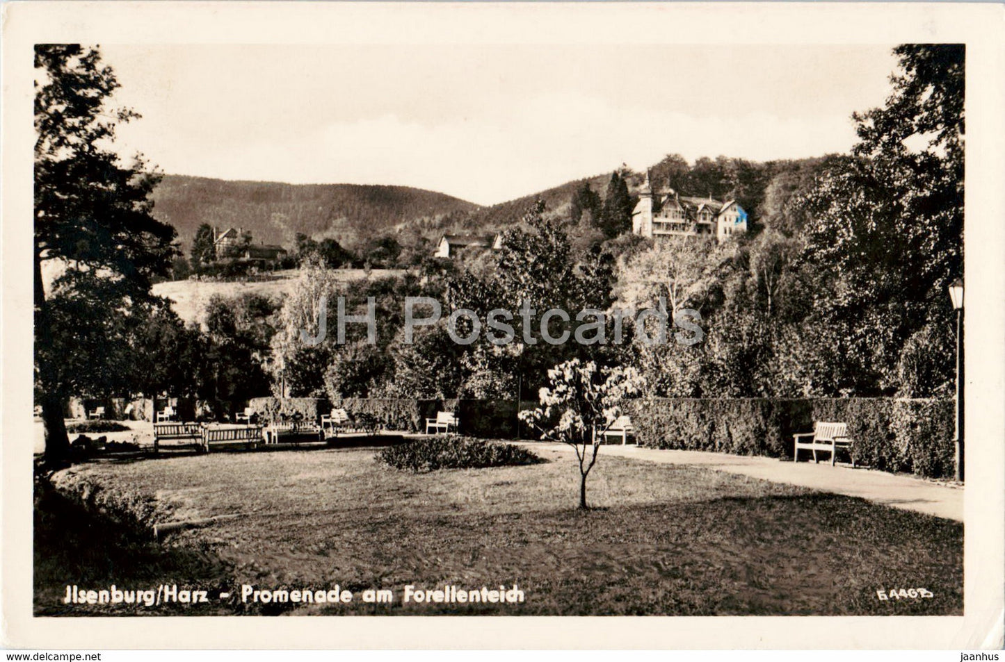 Ilsenburg - Harz - Promenade am Forellenteich - old postcard - 1957 - Germany - used - JH Postcards