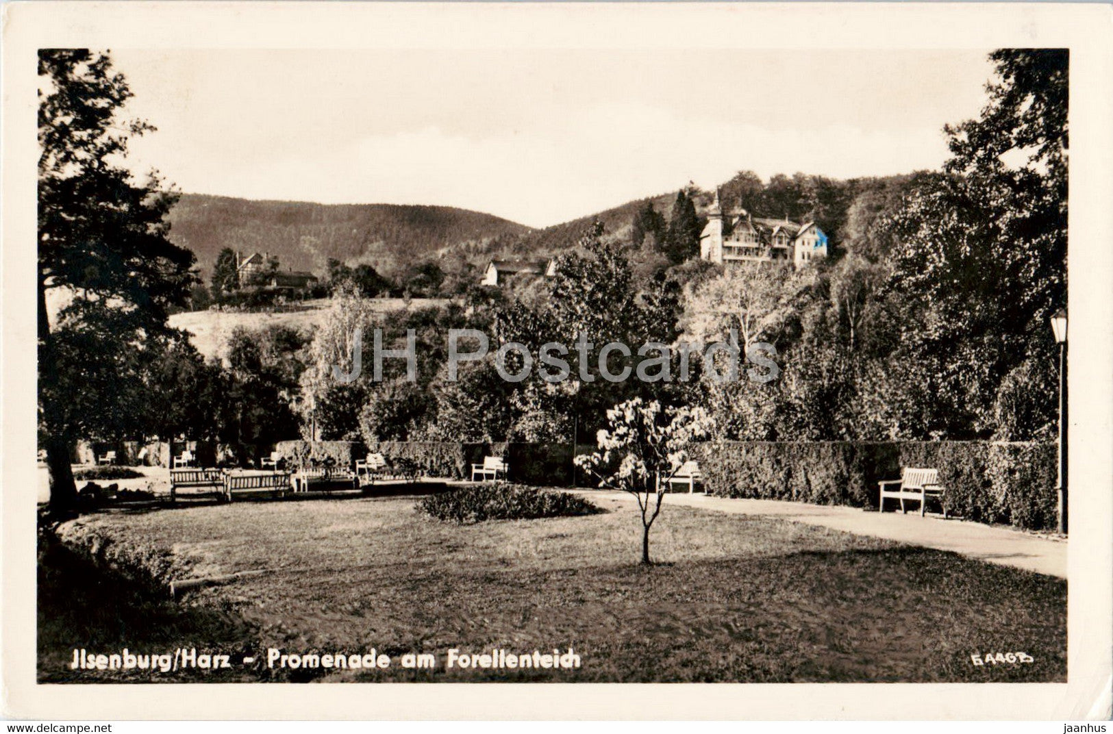 Ilsenburg - Harz - Promenade am Forellenteich - old postcard - 1957 - Germany - used - JH Postcards
