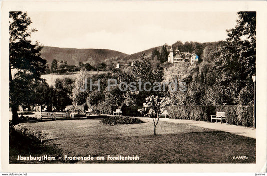 Ilsenburg - Harz - Promenade am Forellenteich - old postcard - 1957 - Germany - used - JH Postcards