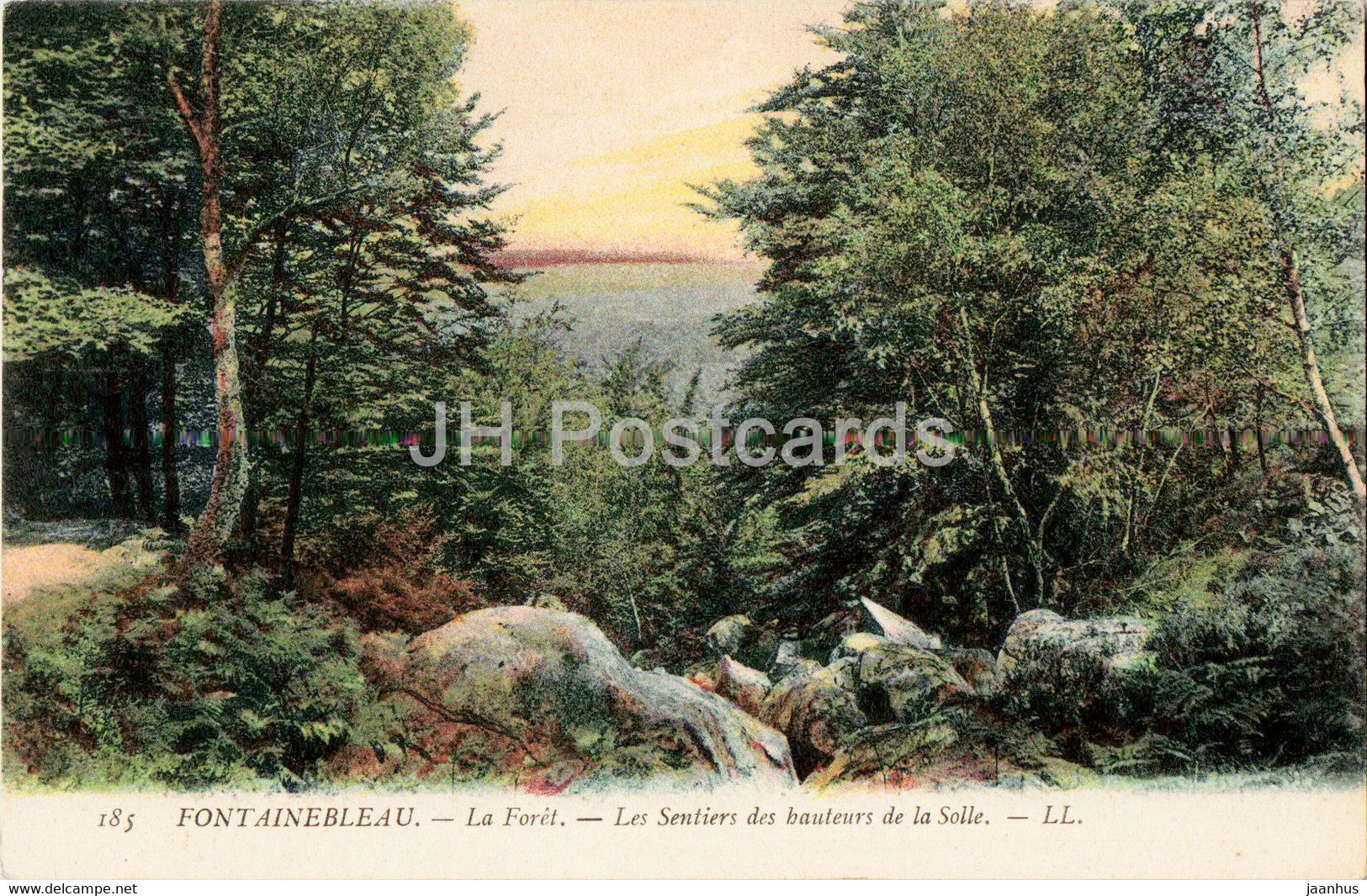 Fontainebleau - La Foret - Les Sentiers des hauteurs de la Solle - 185 - old postcard - France - used - JH Postcards