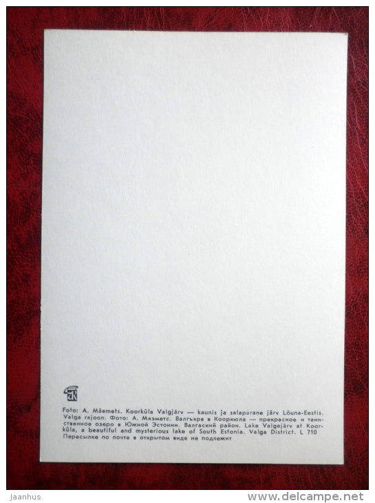 Lake Valgjärv at Koorküla - Estonian lakes - 1979 - Estonia - USSR - unused - JH Postcards