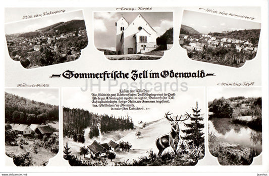 Sommefrische Zell im Odenwald - Finkenberg - Kirche - Momartsberg - old postcard - Germany - unused - JH Postcards