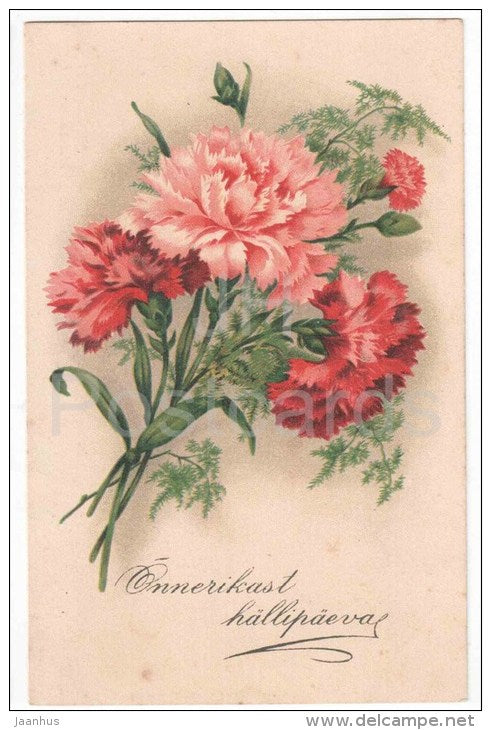 Birthday Greeting Card - Carnation - flowers - WO 903 - old postcard - circulated in Estonia 1935 - JH Postcards