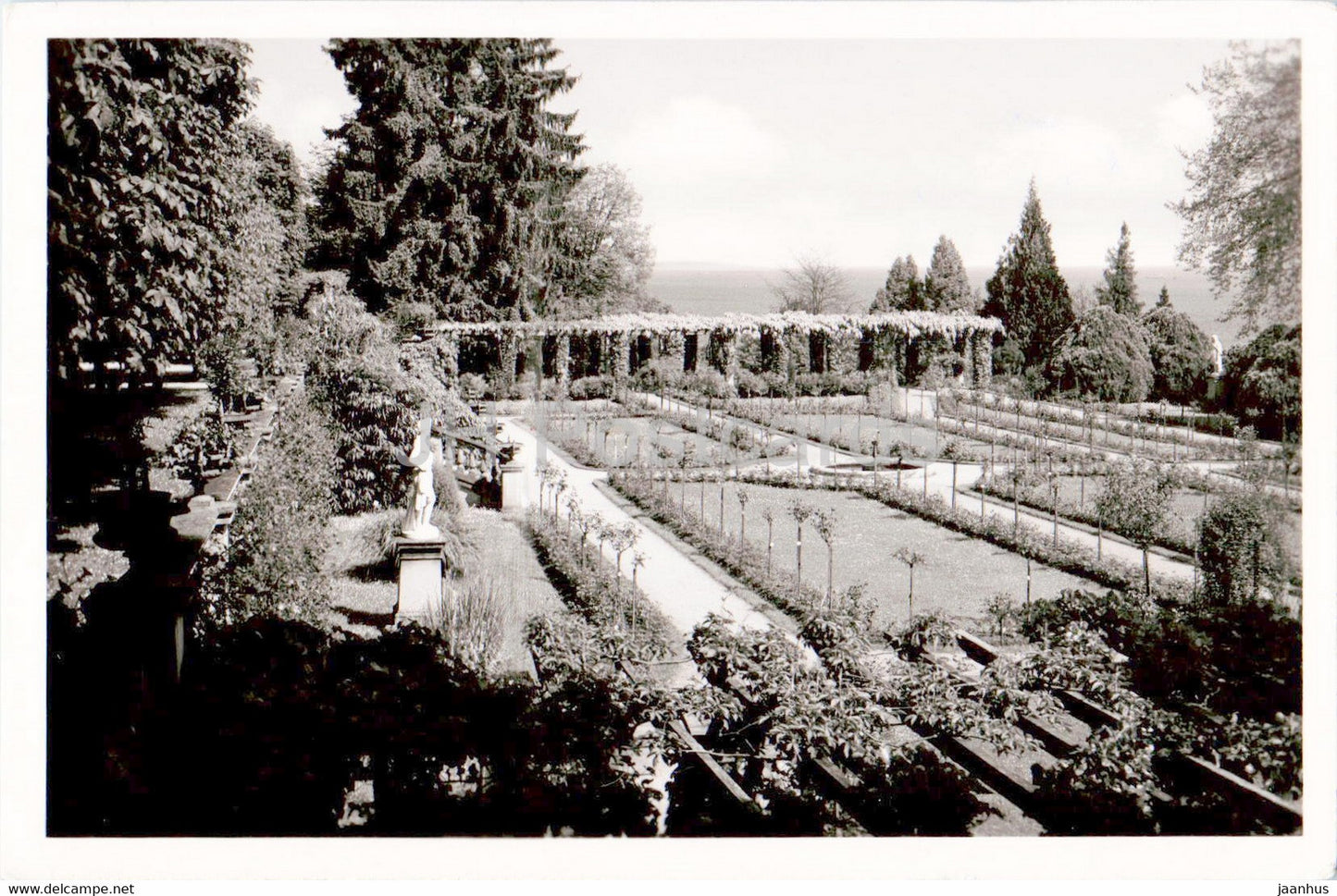 Insel Mainau im Bodensee - Rosengarten - old postcard - Germany - used - JH Postcards