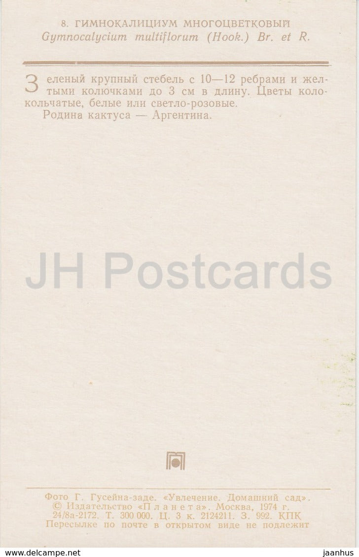 Gymnocalycium multiflorum - cactus - fleurs - 1974 - Russie URSS - inutilisé