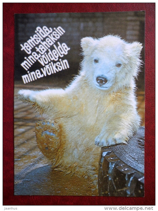 polar bear - Tallinn Zoo - 1989 - Estonia USSR - unused - JH Postcards