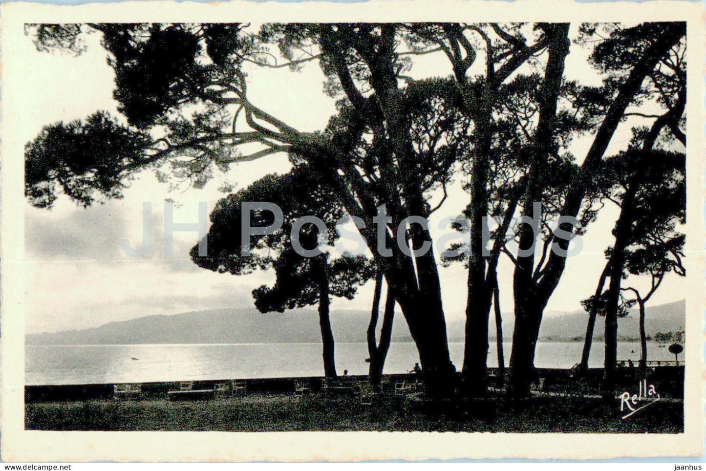 Juan les Pins - Contre jour sur la Pinede - 402 - old postcard - France - unused - JH Postcards