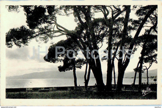 Juan les Pins - Contre jour sur la Pinede - 402 - old postcard - France - unused - JH Postcards