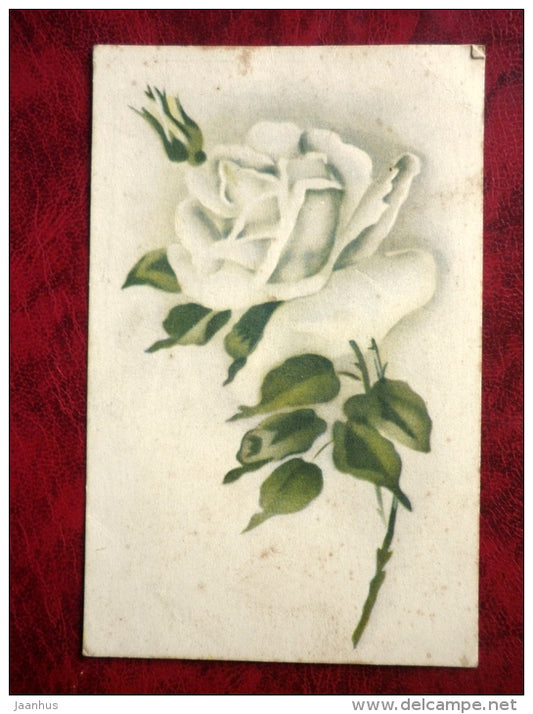 Birthday greeting card - white roses - Estonia  - used - JH Postcards