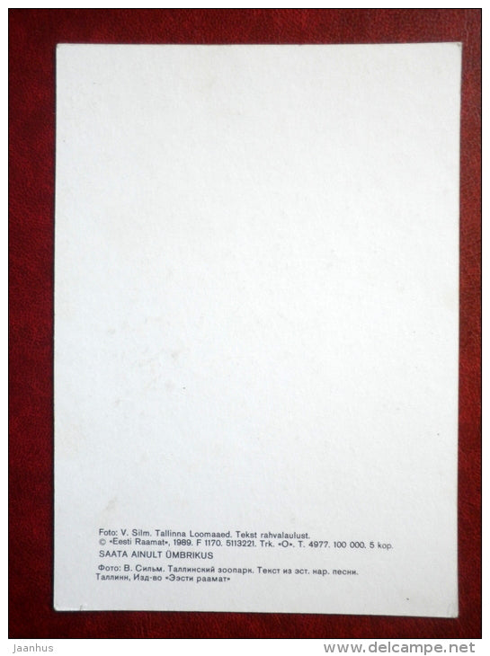 polar bear - Tallinn Zoo - 1989 - Estonia USSR - unused - JH Postcards