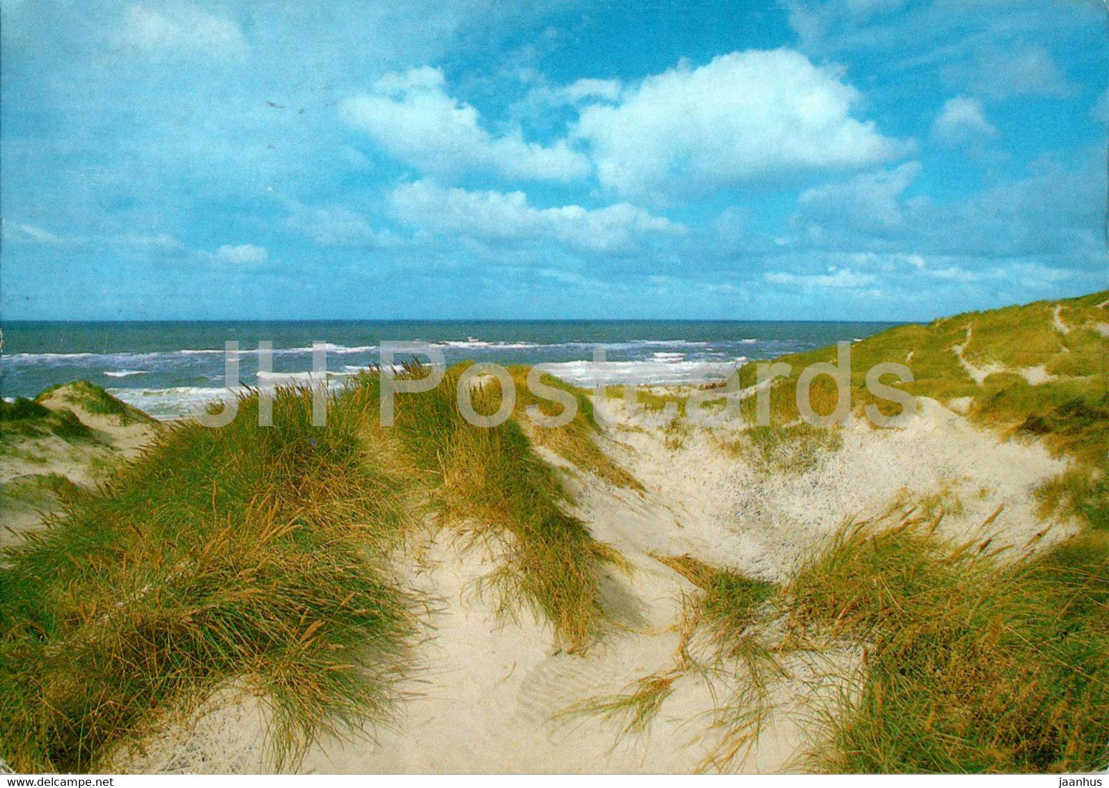 Danmark - Klitter - dunes - 1989 - Denmark - used - JH Postcards