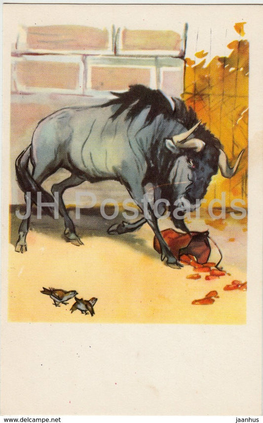 wildebeest - animals - illustration - 1969 - Russia USSR - unused - JH Postcards