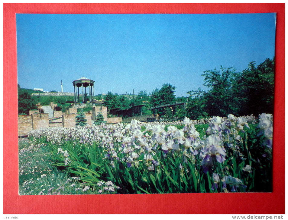 Park of the People`s Friendship - flowrs Iris - Ulyanovsk - Simbirsk - 1984 - Russia USSR - unused - JH Postcards