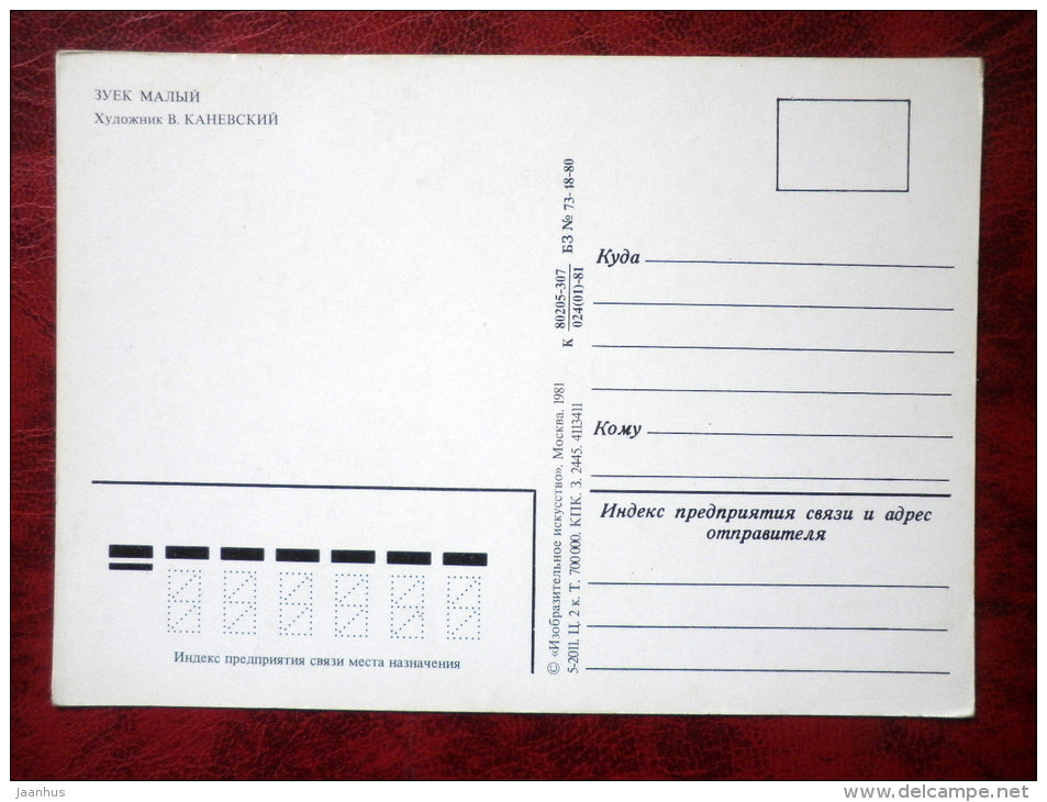 Little Ringed Plover - Charadrius dubius - birds - 1981 - Russia - USSR - unused - JH Postcards