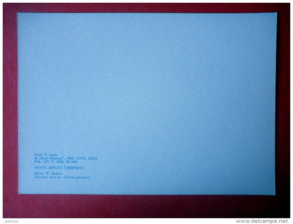 Estonia in Winter - landscape - III - 1988 - Estonia USSR - unused - JH Postcards