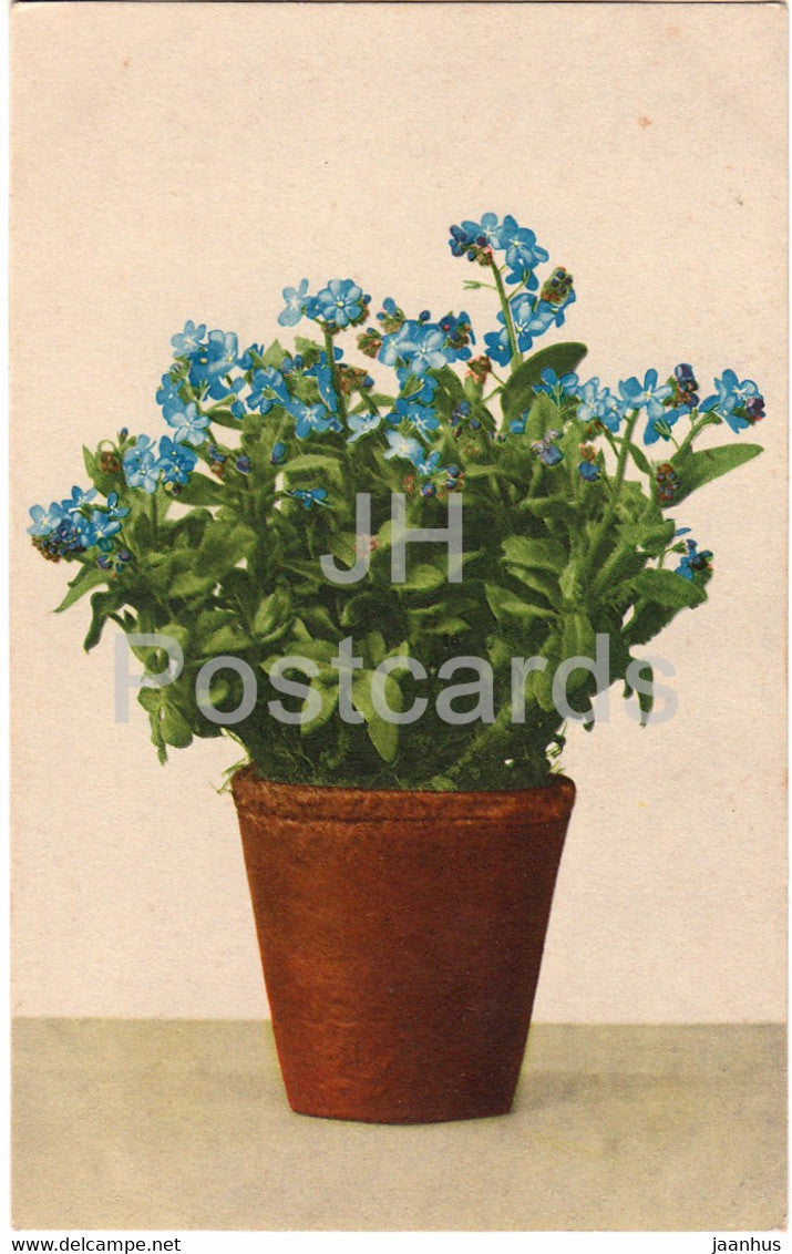 blue flowers in a pot - 687 - old postcard - France - used - JH Postcards