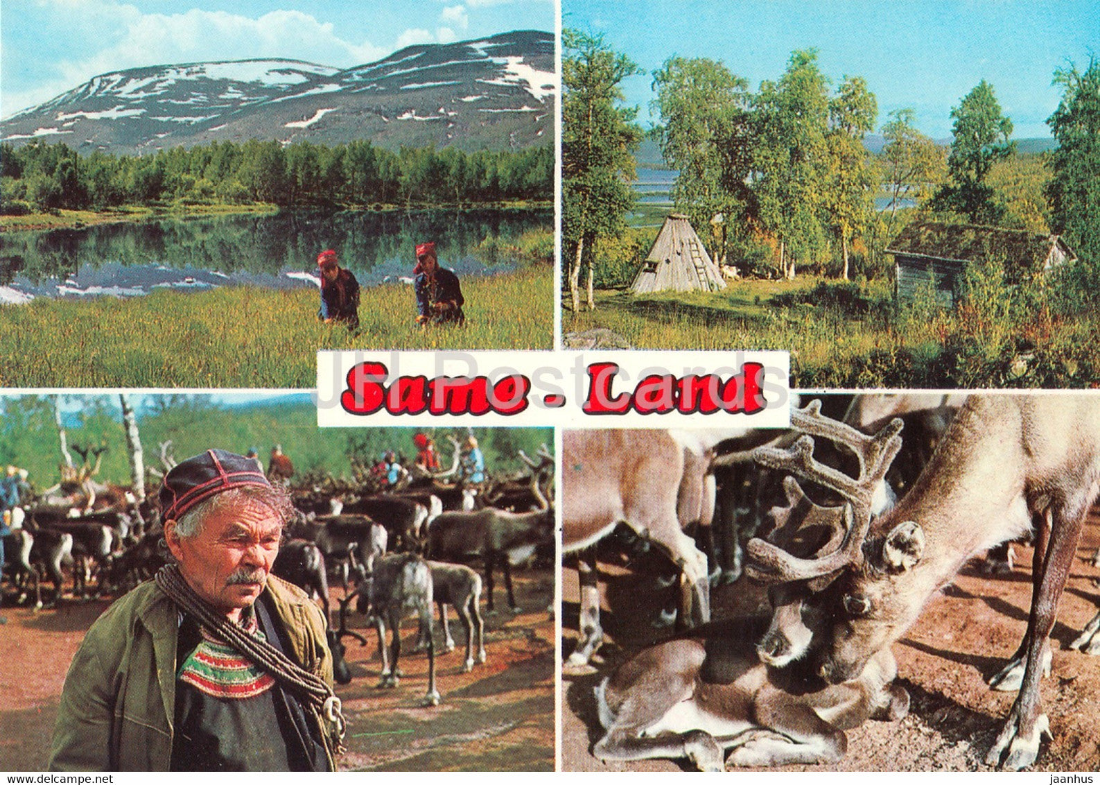 Same Land - reindeer - animals - 2169 - Sweden - unused - JH Postcards
