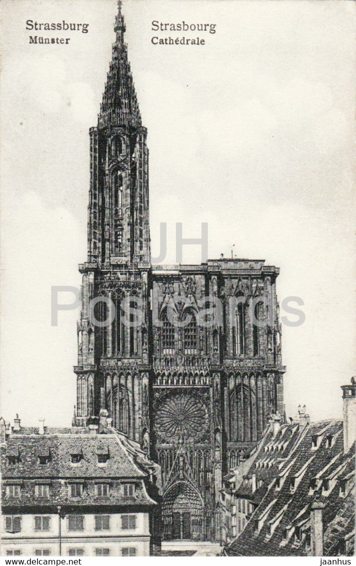 Strassburg i E - Strasbourg - Munster - Cathedrale - cathedral - 981 - old postcard - 1912 - France - used - JH Postcards