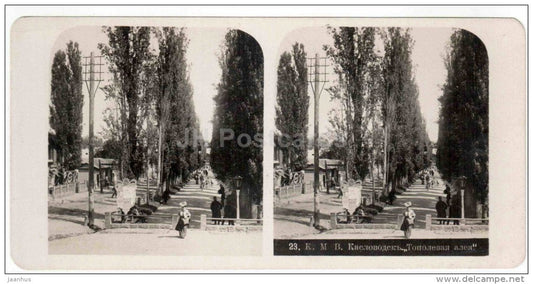 Poplar Alley - Kislovodsk - Caucasus - Russia - Russie - stereo photo - stereoscopique - old photo - JH Postcards