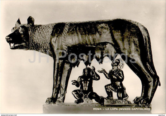 Roma - La Lupa - Museo Capitolino - Wolf - animals - sculpture - 494 - Italian art - Italy - unused - JH Postcards