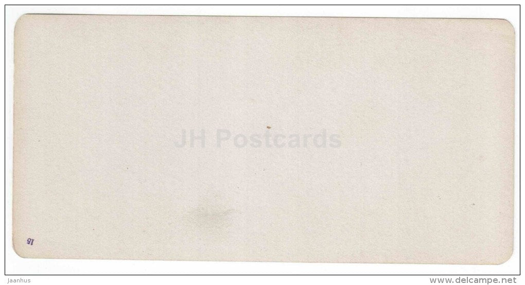Poplar Alley - Kislovodsk - Caucasus - Russia - Russie - stereo photo - stereoscopique - old photo - JH Postcards