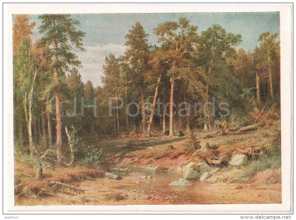 painting by I. Shishkin - Pinery . Mast Forest in Vyatka Gubernia - State Tretyakov Gallery - russian art - unused - JH Postcards