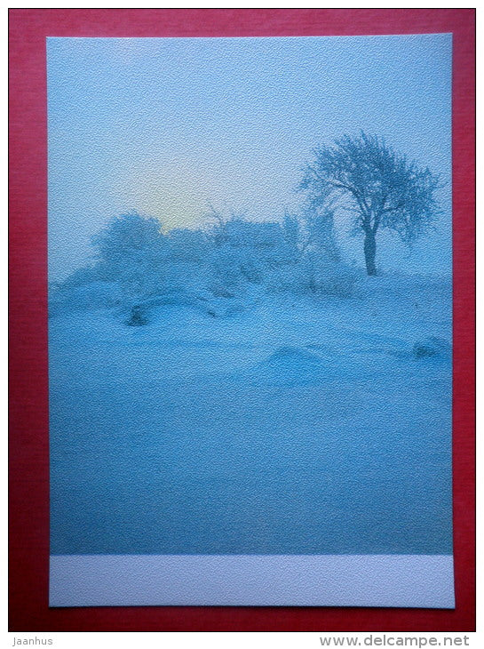 Estonia in Winter - landscape - tree - 1988 - Estonia USSR - unused - JH Postcards