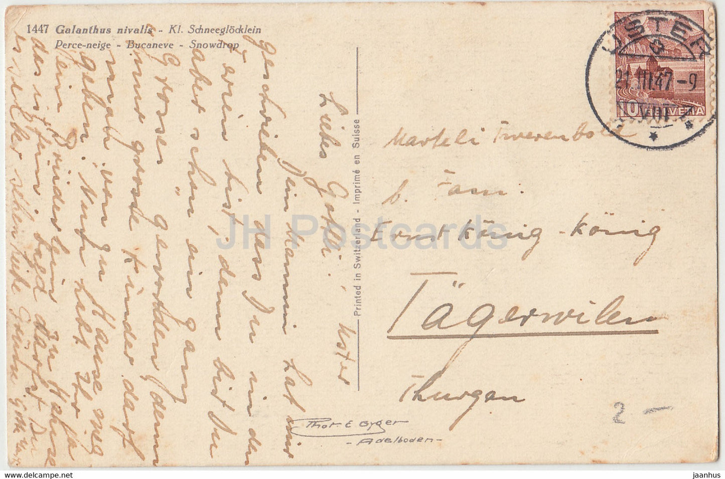 Galanthus Nivalis Kl Schneeglocklein - perce-neige - fleurs - 1447 - carte postale ancienne - 1947 - Suisse - utilisé
